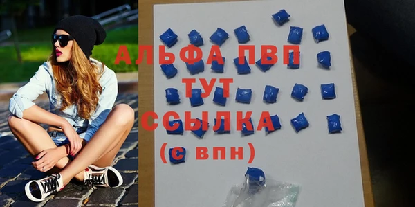 эйфоретик Богданович