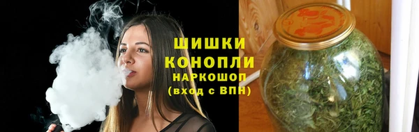 молекула духа Бронницы