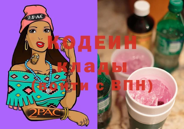 молекула духа Бронницы