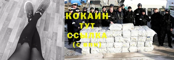 трава Бородино