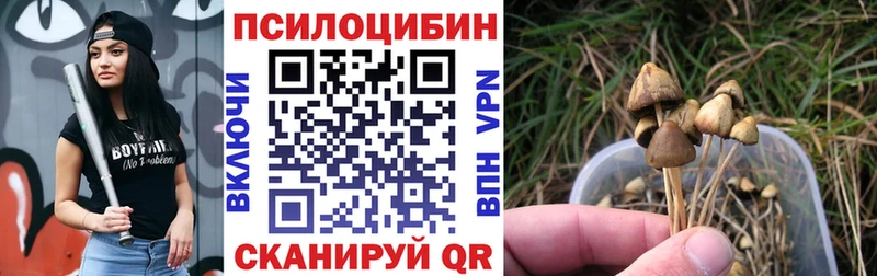 Псилоцибиновые грибы Psilocybe купить наркотик Выборг